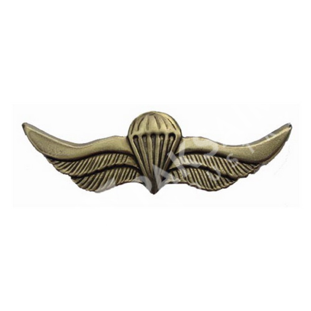 Metal Wings Badge